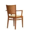 #Aceray 300-09D armchair back view