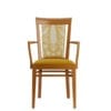 Aceray #300-15D armchair front view