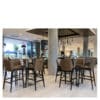 Aceray Piazza round bar table base and Gala-5 barstool in Arizona bar area